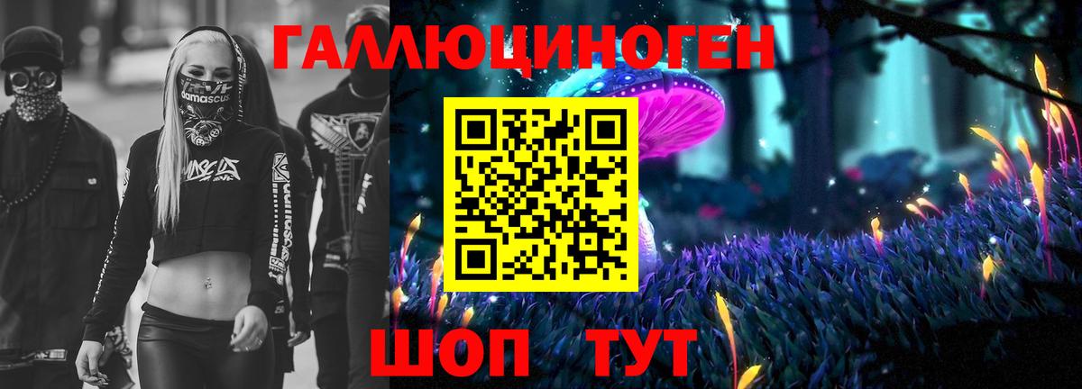 Галлюциногенные грибы Magic Shrooms  Вход с VPN  Галлюциногенные грибы MAGIC MUSHROOMS  Кемерово 